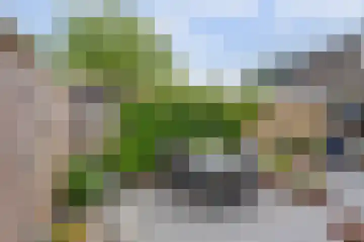 De Flechtreed 7 Oudemirdum thumbnail 27