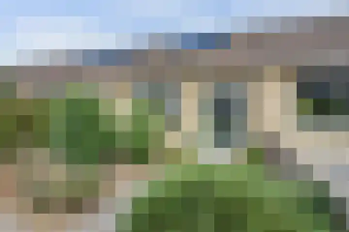 De Flechtreed 7 Oudemirdum thumbnail 30