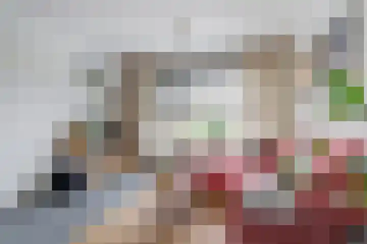De Flechtreed 7 Oudemirdum thumbnail 4