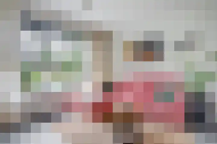 De Flechtreed 7 Oudemirdum thumbnail 7