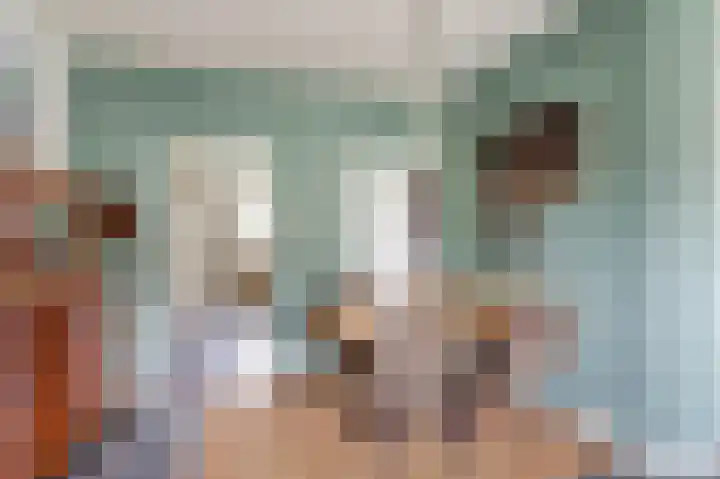 De Flechtreed 7 Oudemirdum thumbnail 8