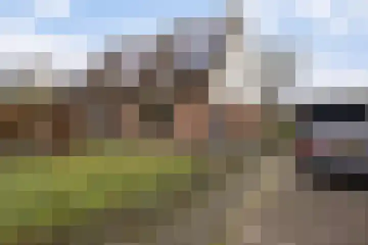 De Flinten 7 Koekange