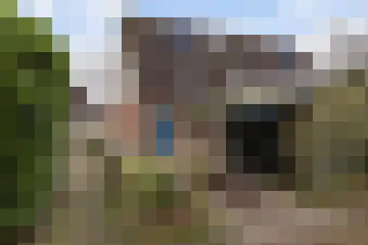 De Flinten 7 Koekange thumbnail 14