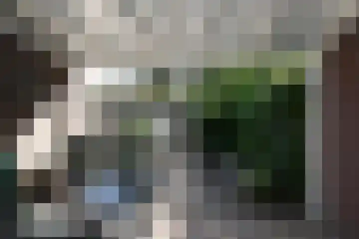 De Fluite 76 Warnsveld thumbnail 24