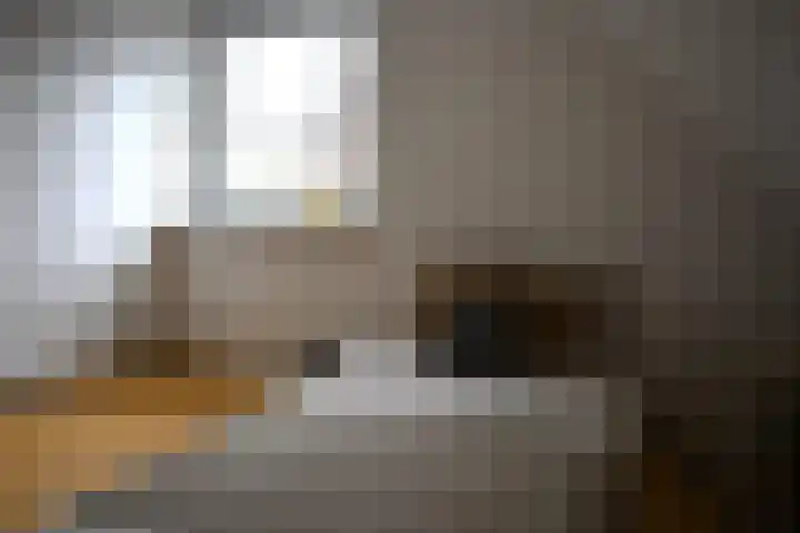 De Fluite 76 Warnsveld thumbnail 34