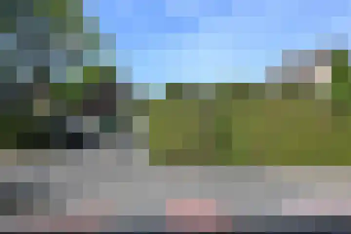 De Fluite 76 Warnsveld thumbnail 36
