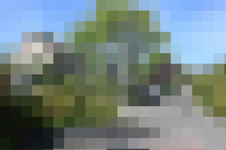 De Fluite 76 Warnsveld thumbnail 37