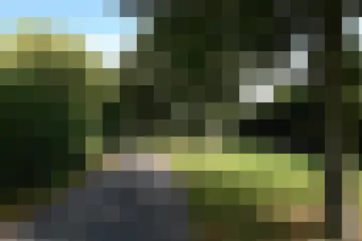 De Fluite 76 Warnsveld thumbnail 39