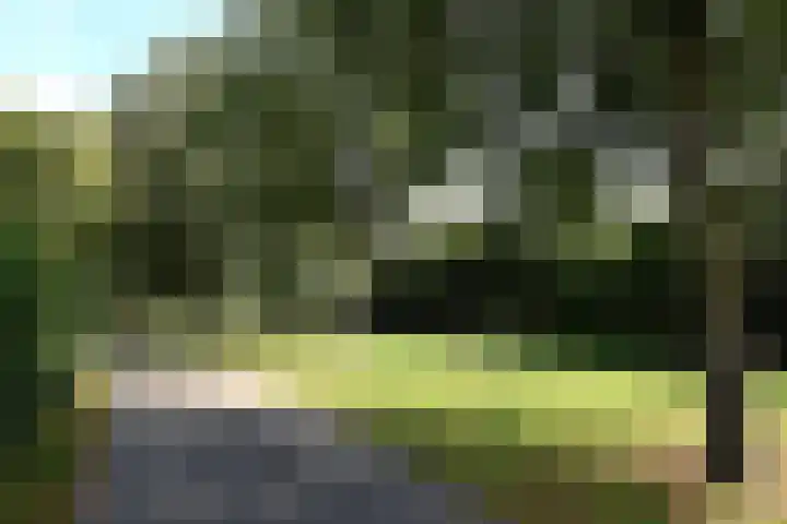 De Fluite 76 Warnsveld thumbnail 40
