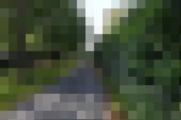 De Fluite 76 Warnsveld thumbnail 42
