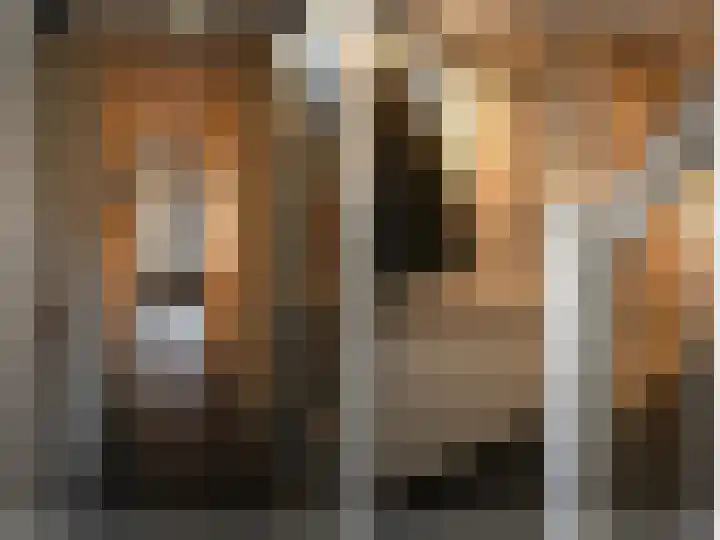 De Fluite 76 Warnsveld thumbnail 7