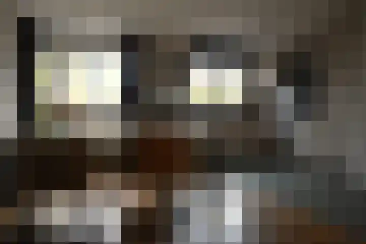 De Fluite 76 Warnsveld thumbnail 9