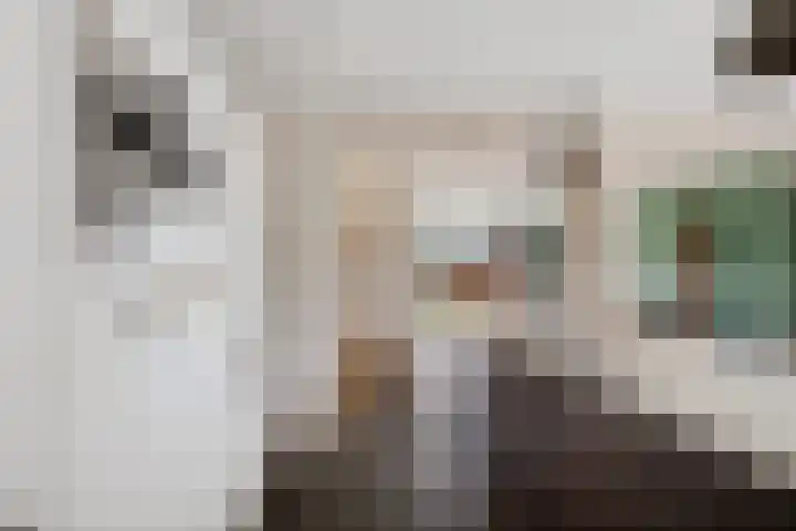 De Foarplecht 2 Hallum thumbnail 11