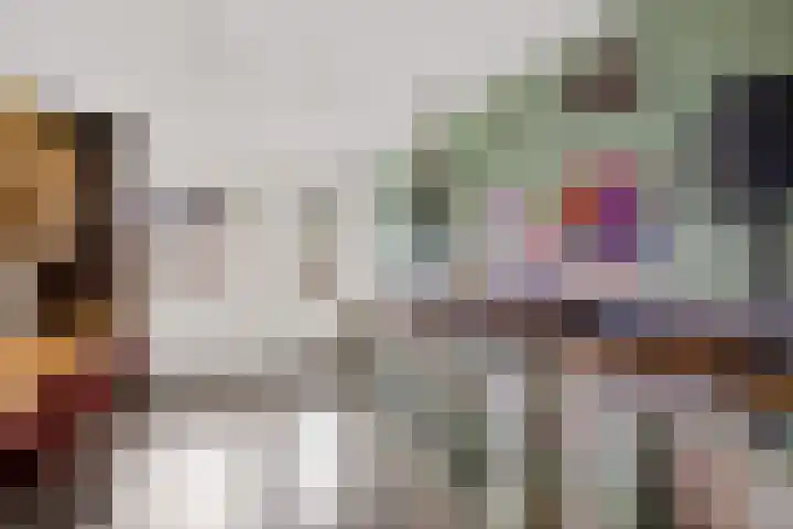 De Foarplecht 2 Hallum thumbnail 14