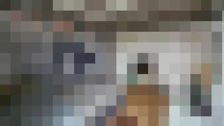 De Foarplecht 2 Hallum thumbnail 24