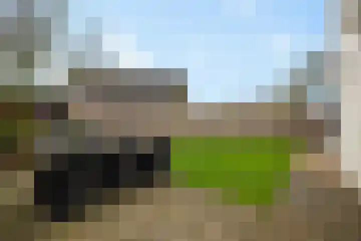 De Foarplecht 2 Hallum thumbnail 31