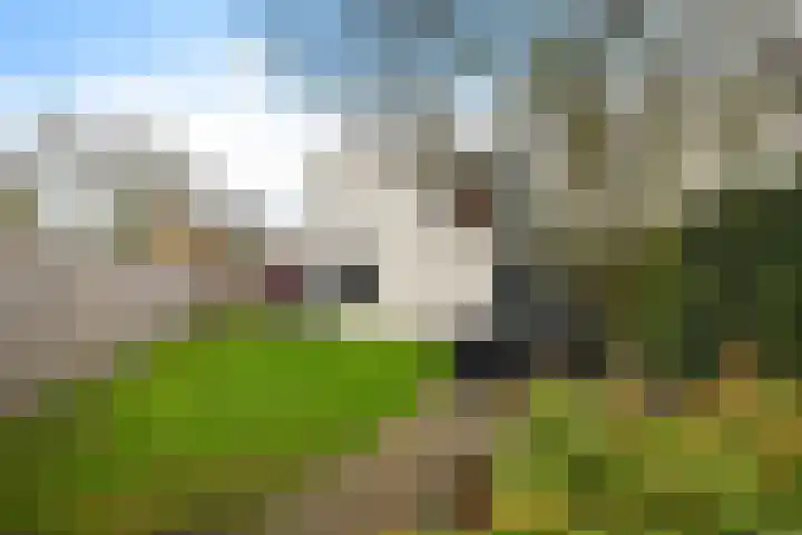 De Foarplecht 2 Hallum thumbnail 33
