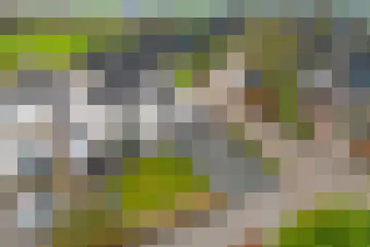 De Foarplecht 2 Hallum thumbnail 38