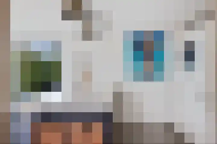 De Foarplecht 2 Hallum thumbnail 9