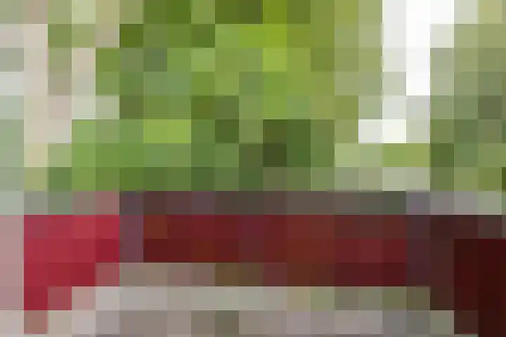 De Fok 5 Groningen thumbnail 15