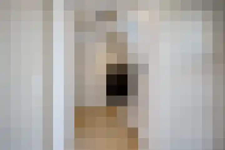 De Fortuin 2 Harlingen thumbnail 12