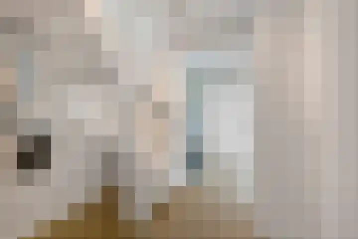 De Fortuin 2 Harlingen thumbnail 16