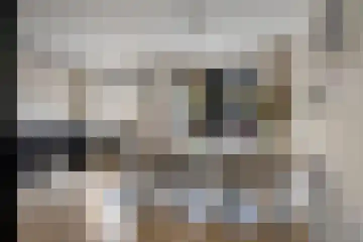 De Fortuin 2 Harlingen thumbnail 20