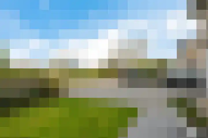 De Fortuin 2 Harlingen thumbnail 5