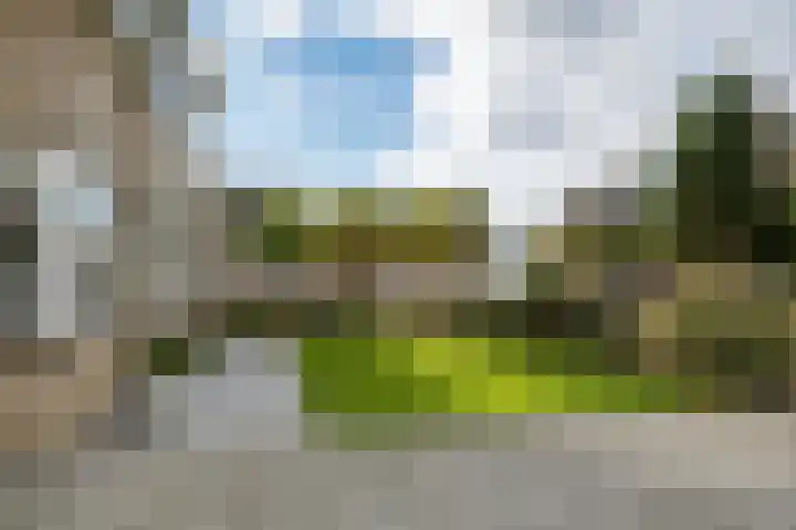 De Fortuin 2 Harlingen thumbnail 8