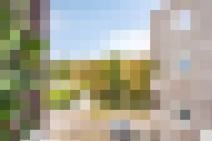 de Fortuin 235 Heerenveen thumbnail 18