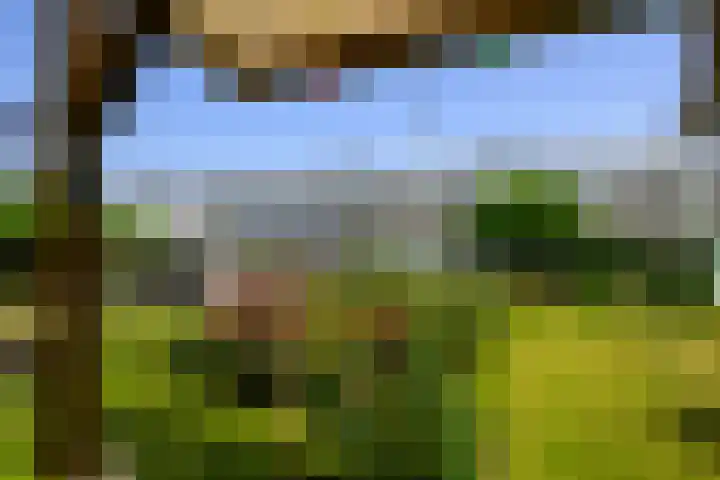 de Fortuin 235 Heerenveen thumbnail 4