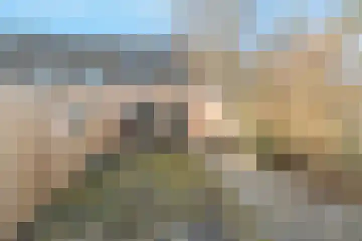 De Fuik 12 Houten thumbnail 29