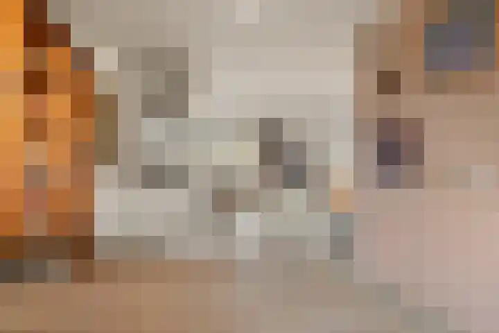 De Fuik 12 Houten thumbnail 6