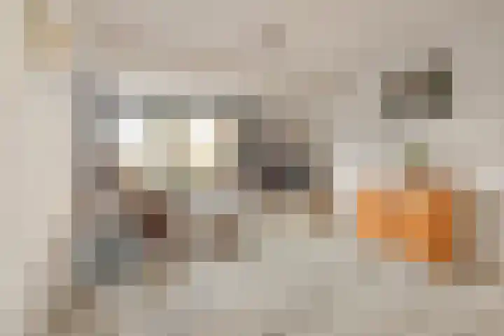 De Fuik 12 Houten thumbnail 7