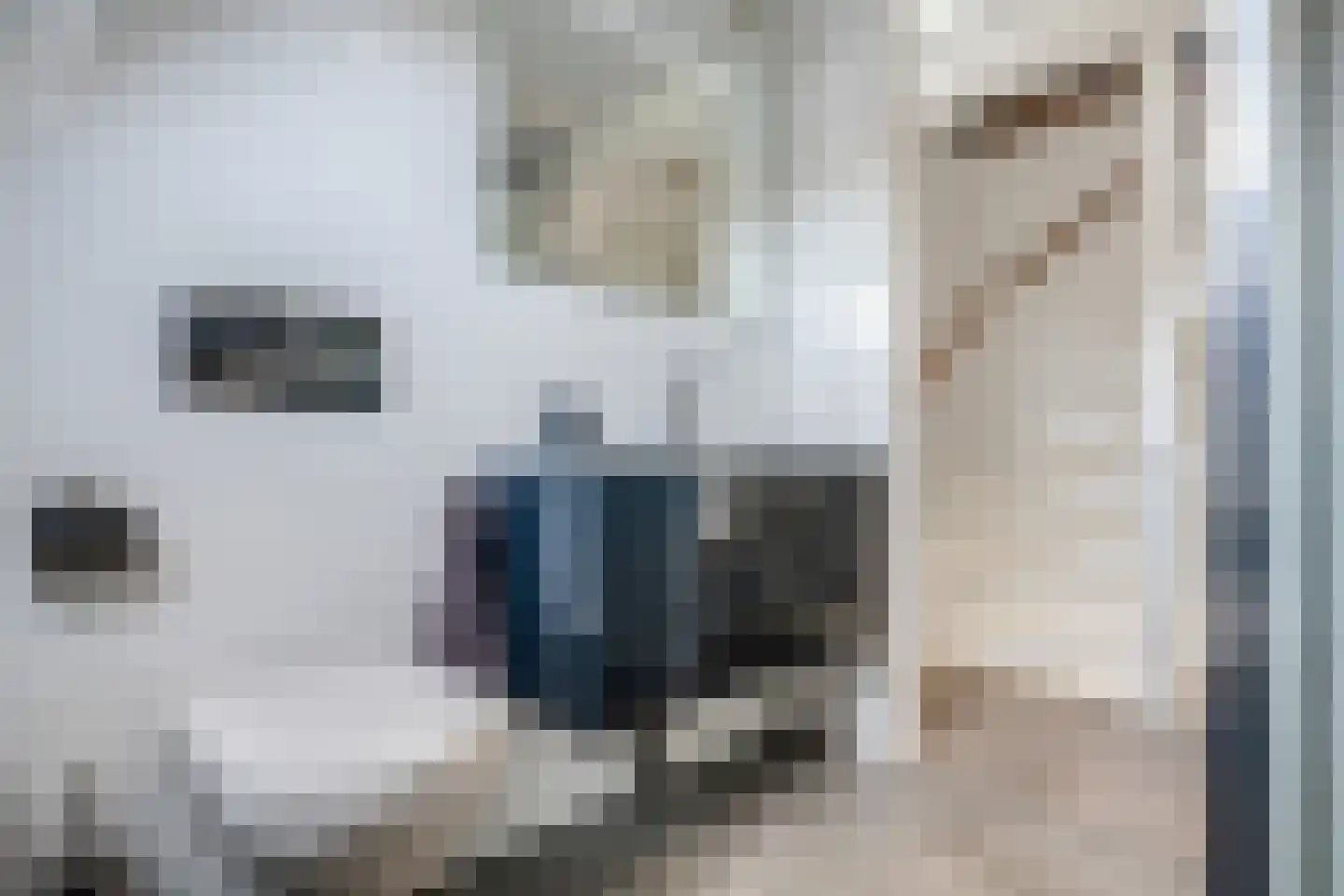 De Fûke 19 Workum thumbnail 33