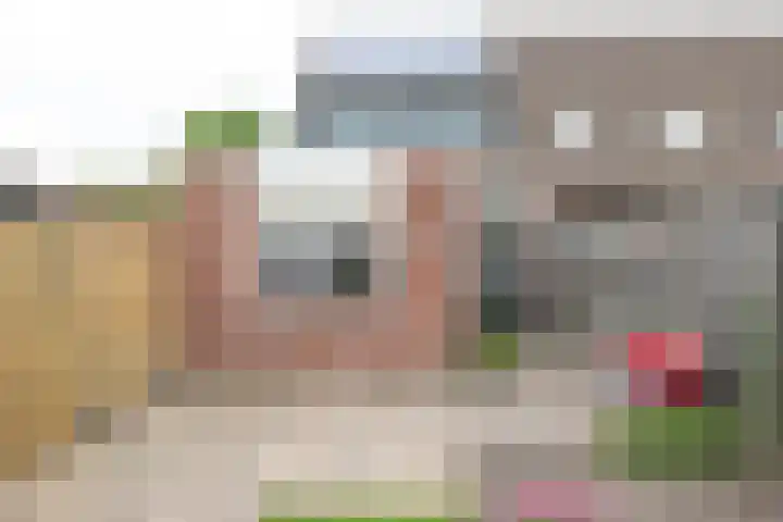 De Fuut 12 Almelo thumbnail 14