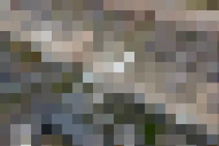 De Fuut 12 Almelo thumbnail 15