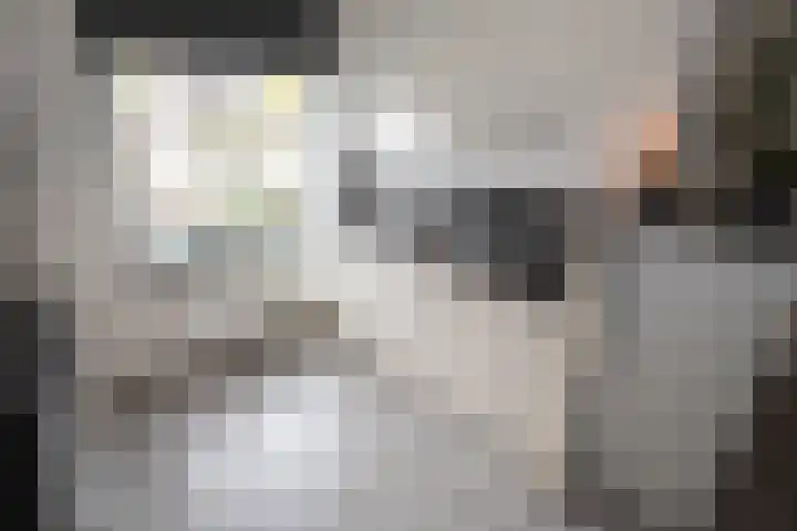 De Fuut 12 Almelo thumbnail 21