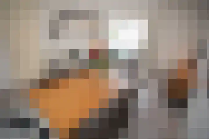 De Fuut 12 Almelo thumbnail 24