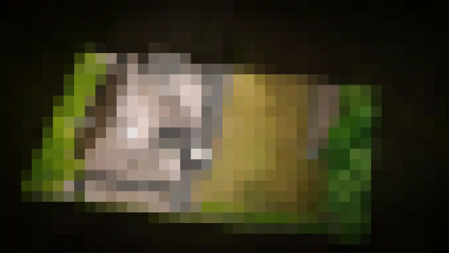 De Fuut 12 Almelo thumbnail 27