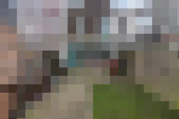 De Fuut 12 Almelo thumbnail 35