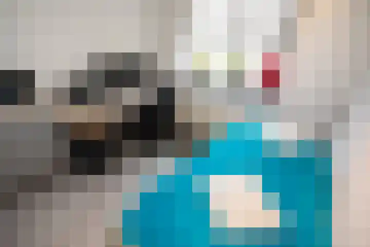 De Fuut 12 Almelo thumbnail 37