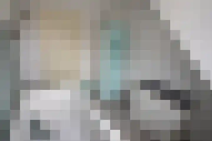 De Fuut 12 Almelo thumbnail 39