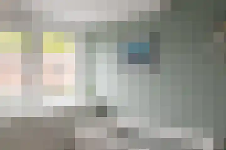 De Fuut 12 Almelo thumbnail 40
