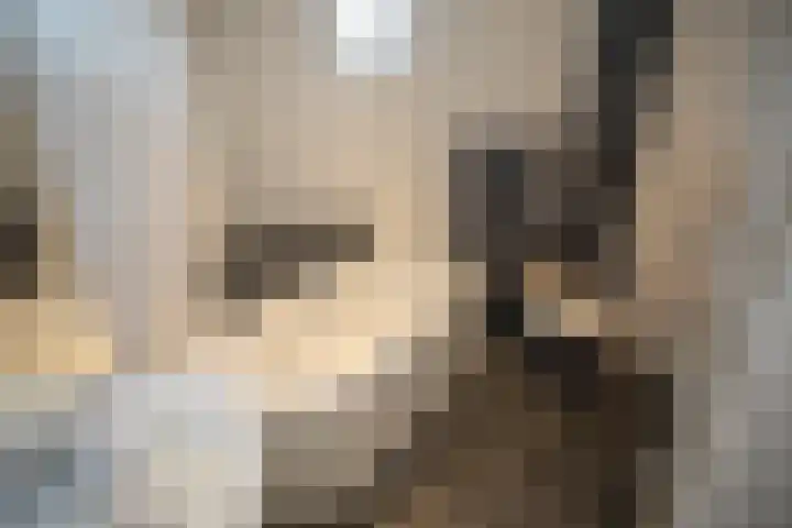 De Fuut 12 Almelo thumbnail 50