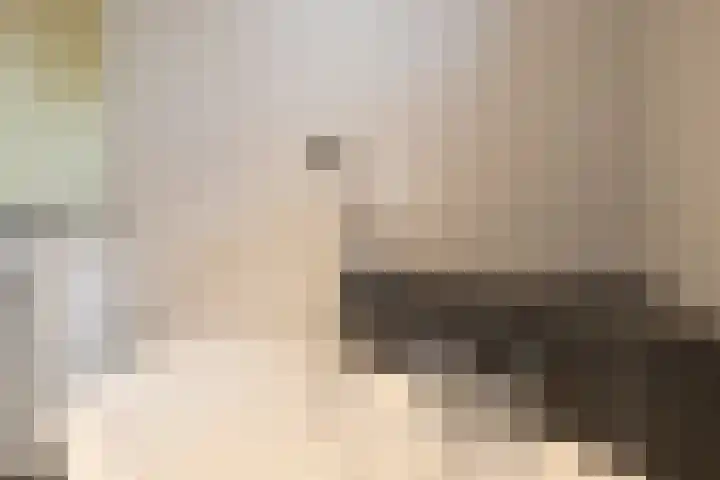 De Fuut 12 Almelo thumbnail 53