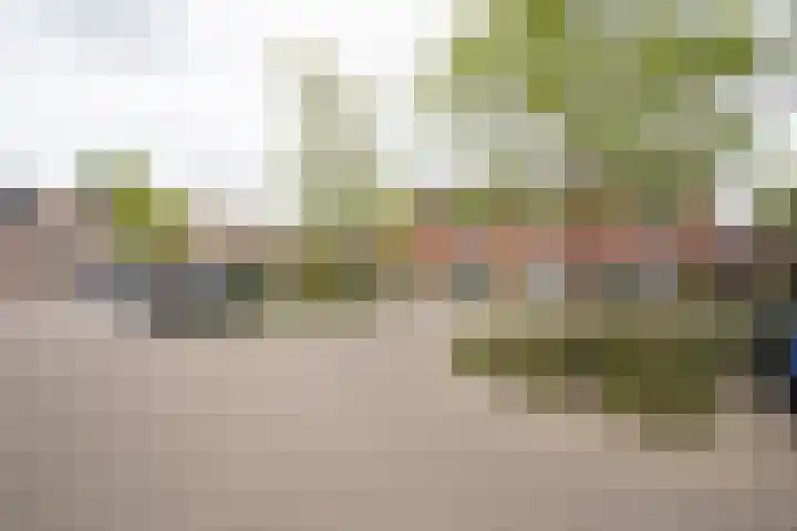 De Fuut 12 Almelo thumbnail 6