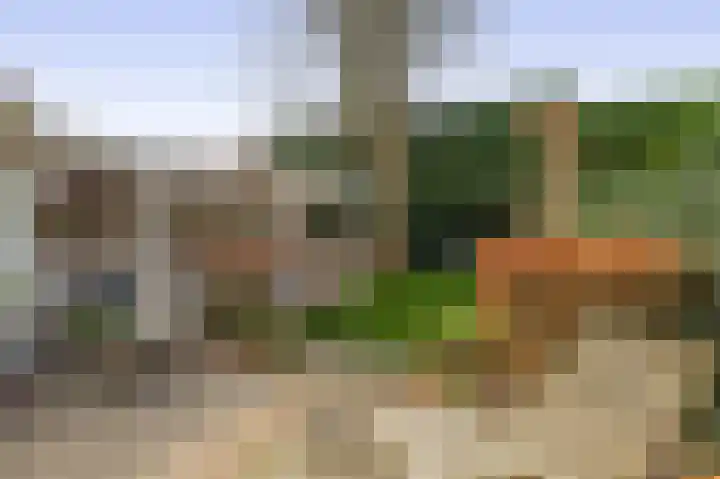 De Fuut 12 Almelo thumbnail 7