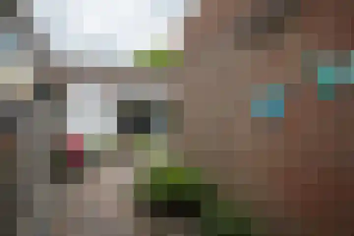 De Fuut 12 Almelo thumbnail 7