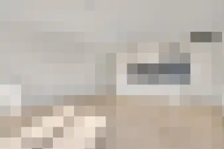 De Gaard 31 Heythuysen thumbnail 4